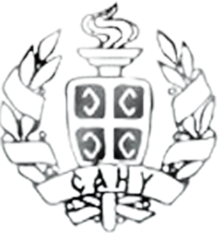ДАИС грб
