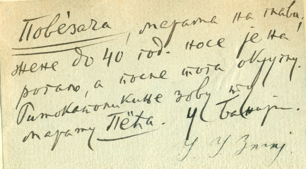 Слика повезача